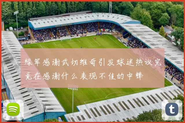 绿军感谢武切维奇引发球迷热议究竟在感谢什么表现不佳的中锋